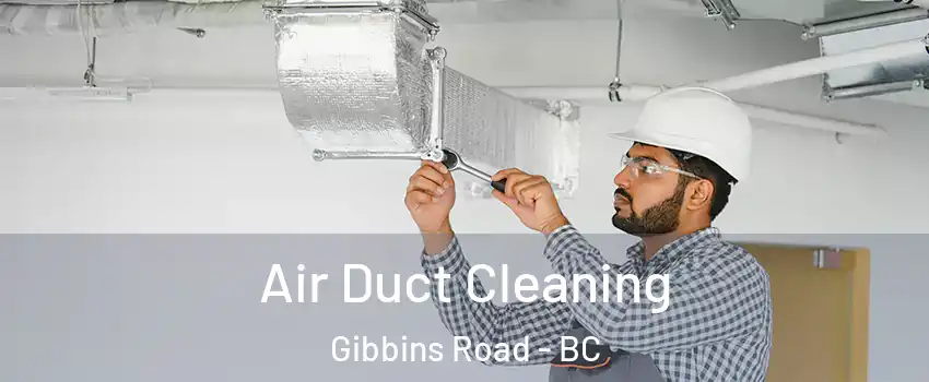  Air Duct Cleaning Gibbins Road - BC
