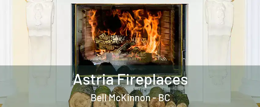  Astria Fireplaces Bell McKinnon - BC