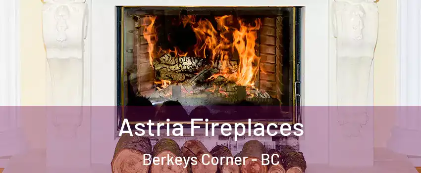  Astria Fireplaces Berkeys Corner - BC