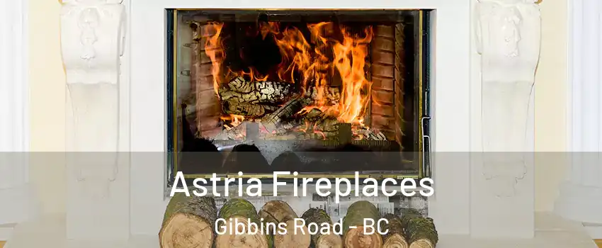  Astria Fireplaces Gibbins Road - BC