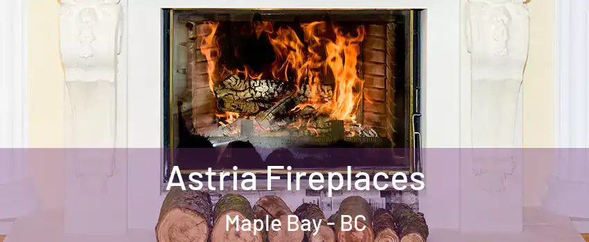 Astria Fireplaces Maple Bay - BC