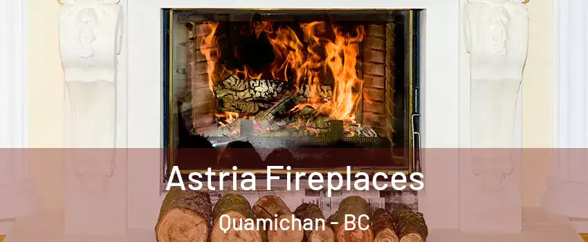 Astria Fireplaces Quamichan - BC