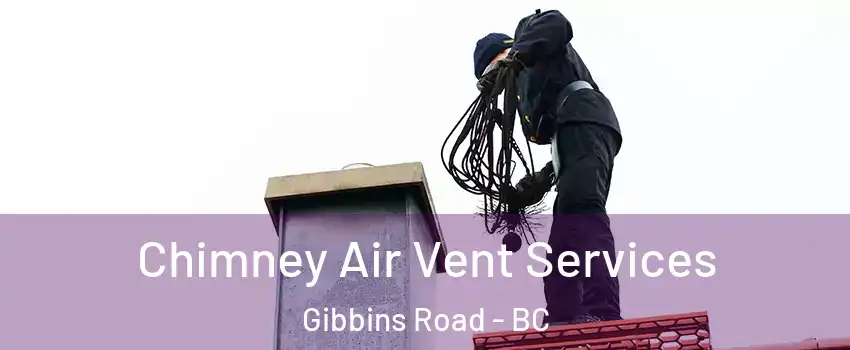  Chimney Air Vent Services Gibbins Road - BC
