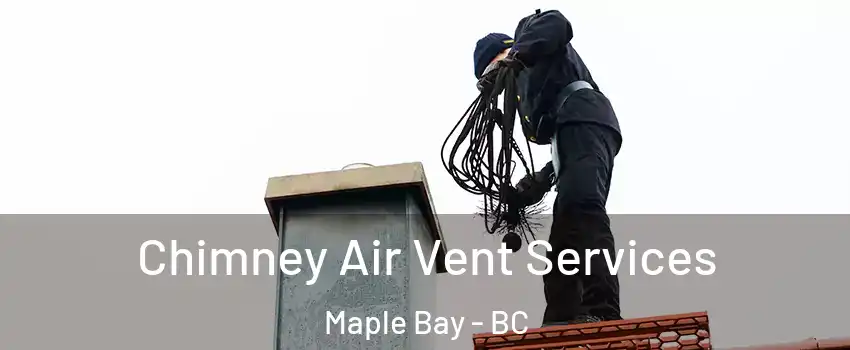  Chimney Air Vent Services Maple Bay - BC