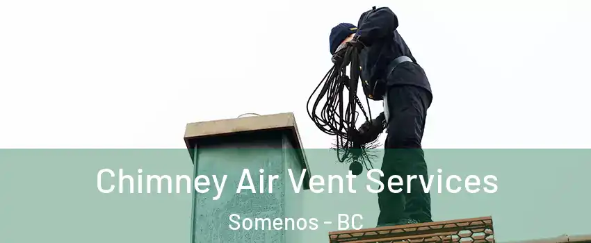  Chimney Air Vent Services Somenos - BC