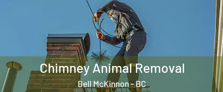  Chimney Animal Removal Bell McKinnon - BC