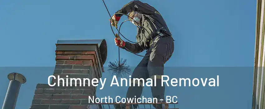 Chimney Animal Removal North Cowichan - BC