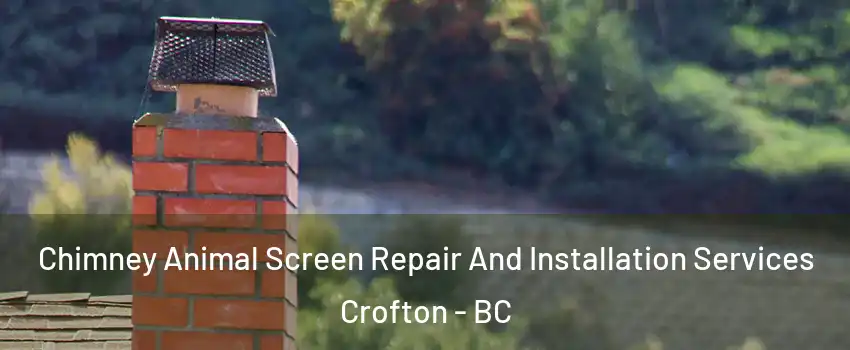  Chimney Animal Screen Repair And Installation Services Crofton - BC
