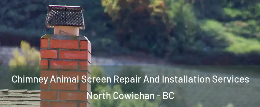  Chimney Animal Screen Repair And Installation Services North Cowichan - BC