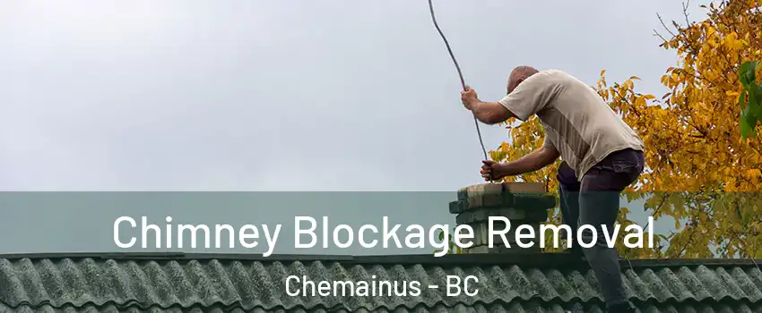  Chimney Blockage Removal Chemainus - BC