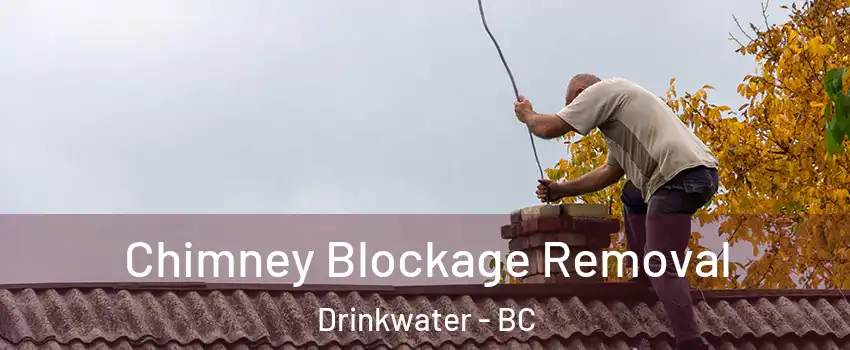  Chimney Blockage Removal Drinkwater - BC