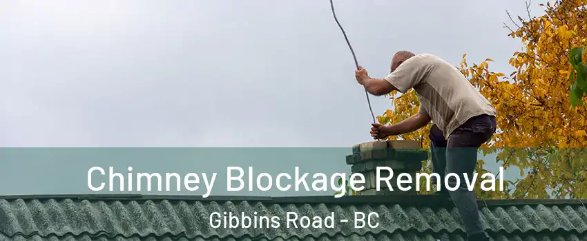  Chimney Blockage Removal Gibbins Road - BC
