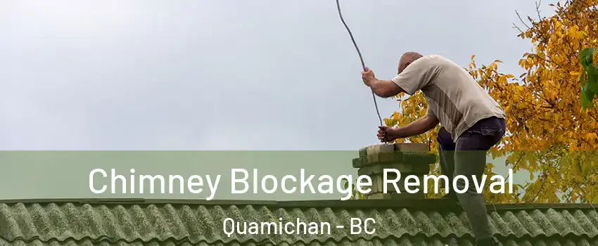  Chimney Blockage Removal Quamichan - BC