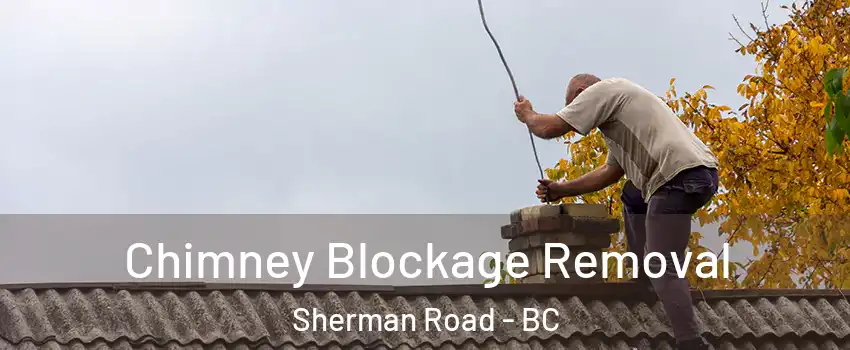  Chimney Blockage Removal Sherman Road - BC