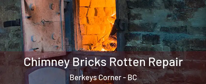  Chimney Bricks Rotten Repair Berkeys Corner - BC