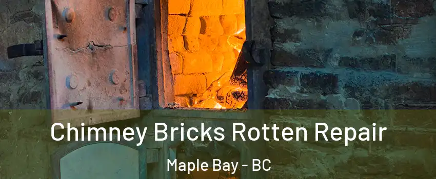  Chimney Bricks Rotten Repair Maple Bay - BC