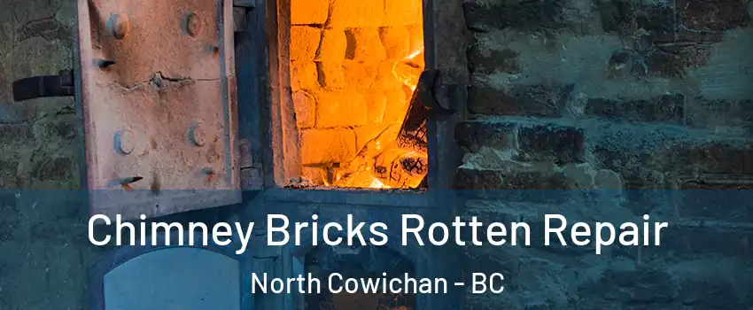 Chimney Bricks Rotten Repair North Cowichan - BC