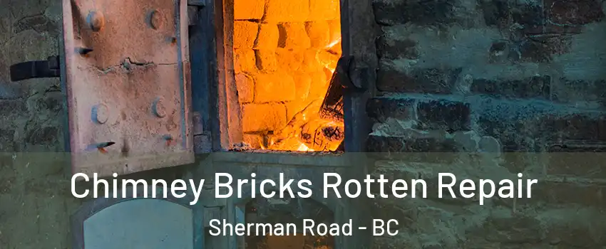  Chimney Bricks Rotten Repair Sherman Road - BC