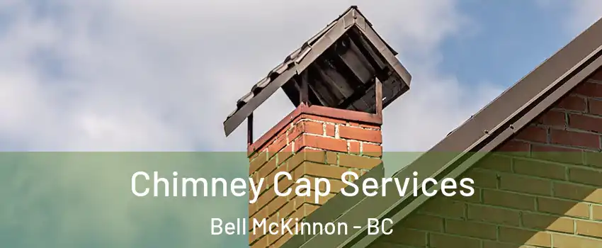  Chimney Cap Services Bell McKinnon - BC