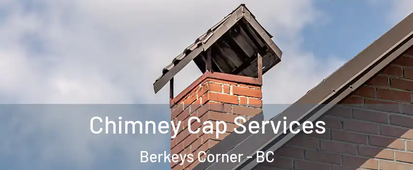  Chimney Cap Services Berkeys Corner - BC