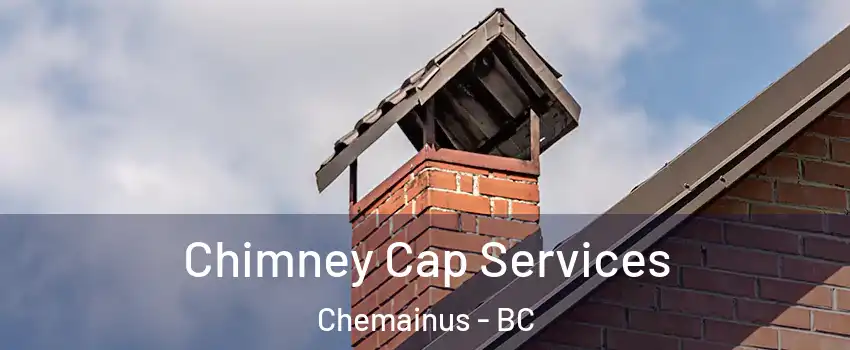  Chimney Cap Services Chemainus - BC