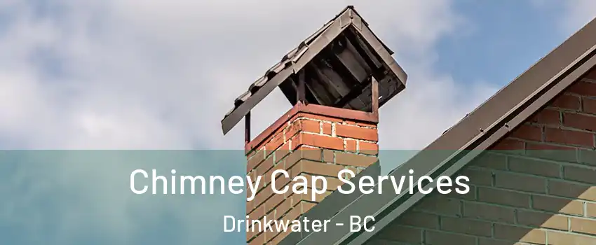  Chimney Cap Services Drinkwater - BC