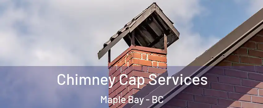  Chimney Cap Services Maple Bay - BC