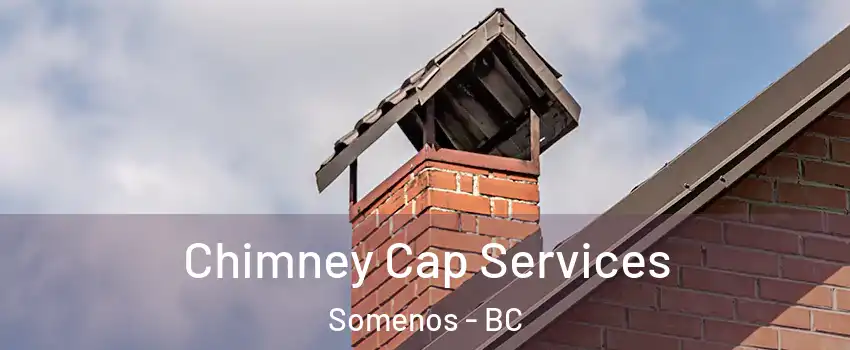  Chimney Cap Services Somenos - BC