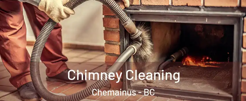  Chimney Cleaning Chemainus - BC