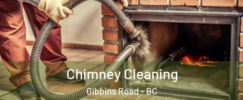  Chimney Cleaning Gibbins Road - BC
