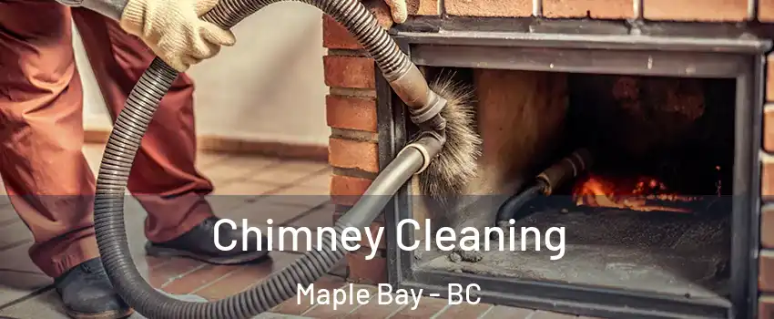  Chimney Cleaning Maple Bay - BC