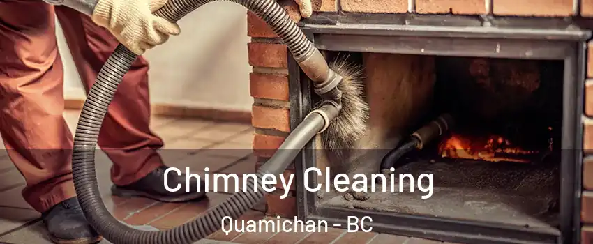 Chimney Cleaning Quamichan - BC