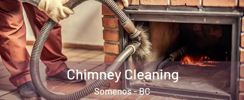  Chimney Cleaning Somenos - BC