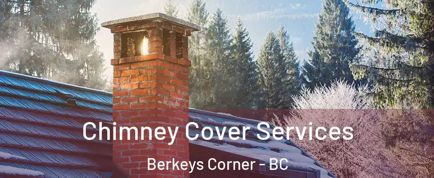  Chimney Cover Services Berkeys Corner - BC