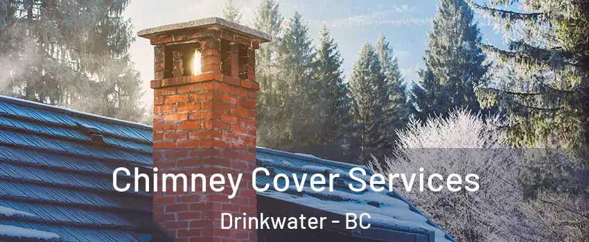  Chimney Cover Services Drinkwater - BC