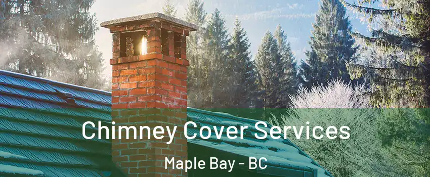  Chimney Cover Services Maple Bay - BC