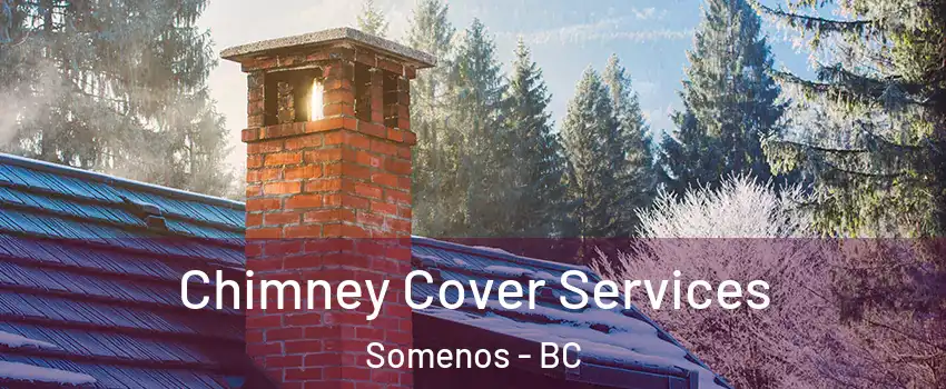  Chimney Cover Services Somenos - BC
