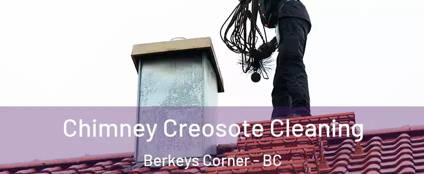  Chimney Creosote Cleaning Berkeys Corner - BC