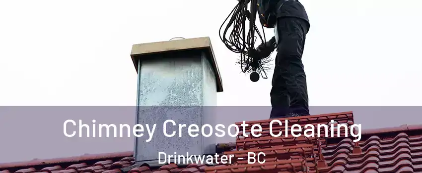  Chimney Creosote Cleaning Drinkwater - BC