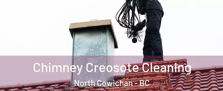  Chimney Creosote Cleaning North Cowichan - BC
