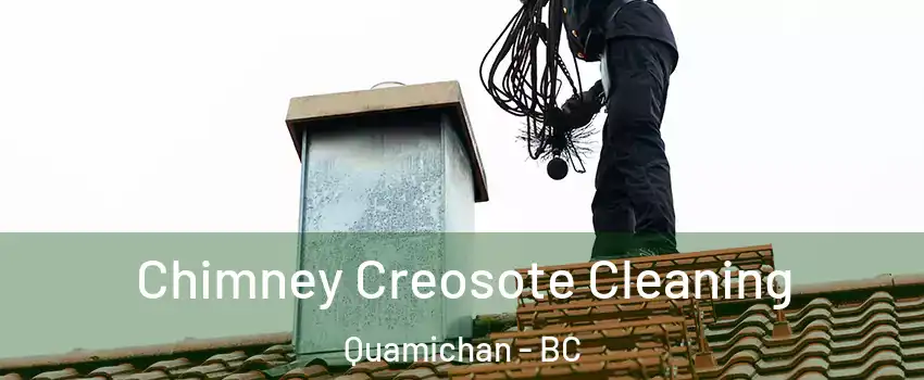  Chimney Creosote Cleaning Quamichan - BC