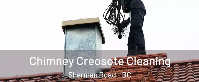  Chimney Creosote Cleaning Sherman Road - BC