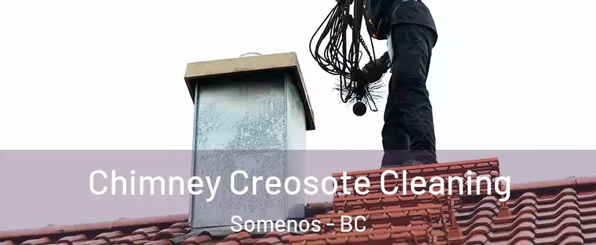  Chimney Creosote Cleaning Somenos - BC