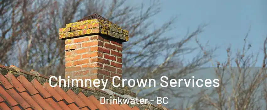  Chimney Crown Services Drinkwater - BC