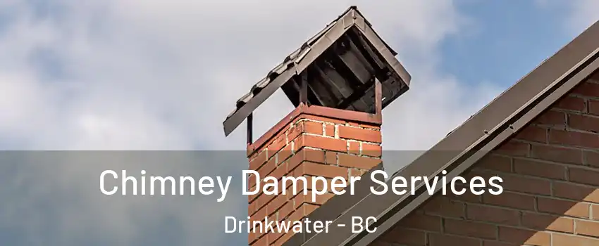  Chimney Damper Services Drinkwater - BC