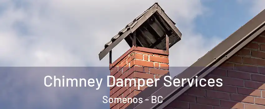  Chimney Damper Services Somenos - BC