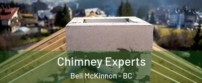  Chimney Experts Bell McKinnon - BC