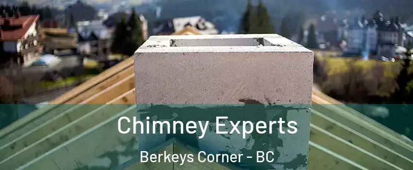  Chimney Experts Berkeys Corner - BC