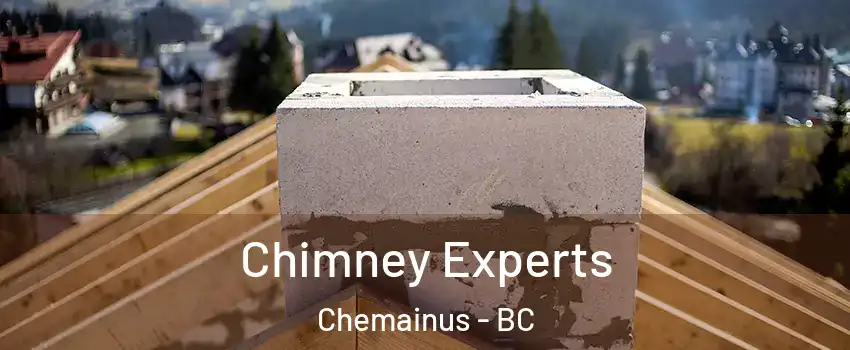  Chimney Experts Chemainus - BC