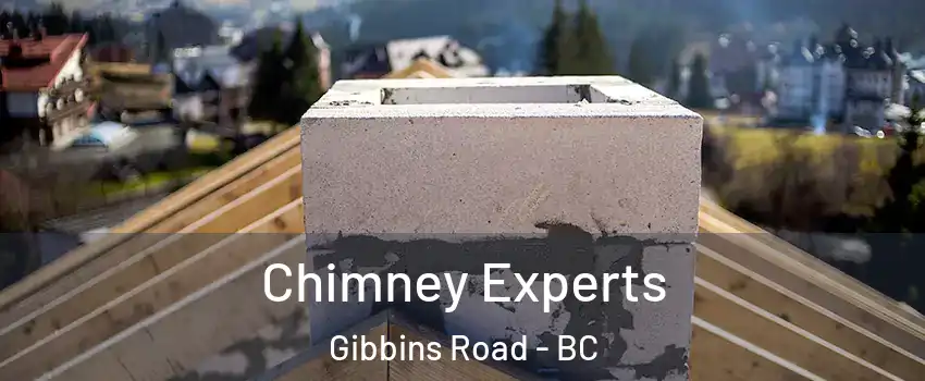  Chimney Experts Gibbins Road - BC
